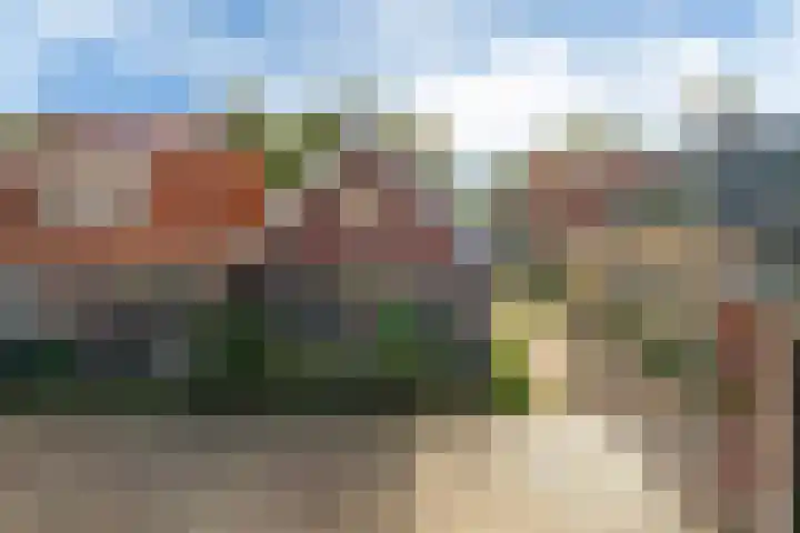 Grote Reed 2 Kimswerd thumbnail 33