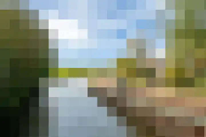 Grote Reed 2 Kimswerd thumbnail 35