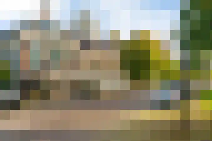 Grote Reed 2 Kimswerd thumbnail 36