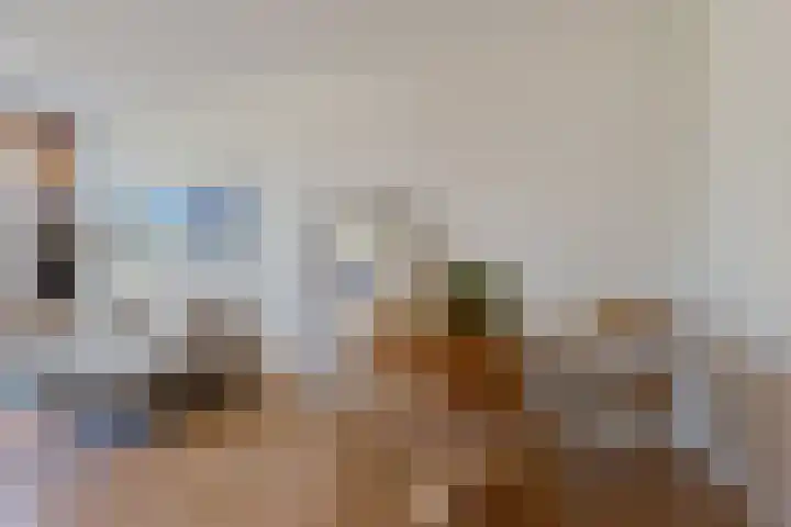 Grote Reed 2 Kimswerd thumbnail 4