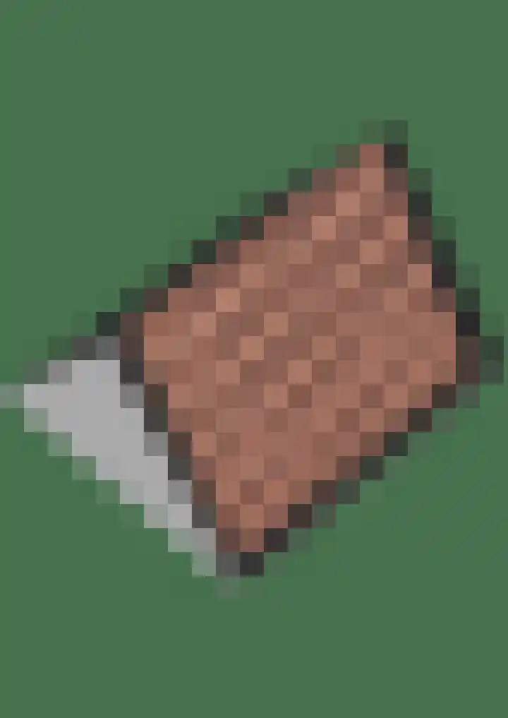 Grote Reed 2 Kimswerd thumbnail 43