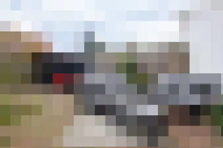 Grote Reed 2 Kimswerd thumbnail 7
