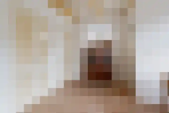Grote Reed 2 Kimswerd thumbnail 8