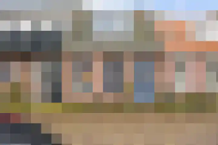 Grote Reed 6 Kimswerd thumbnail 11