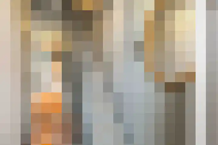 Grote Reed 6 Kimswerd thumbnail 14