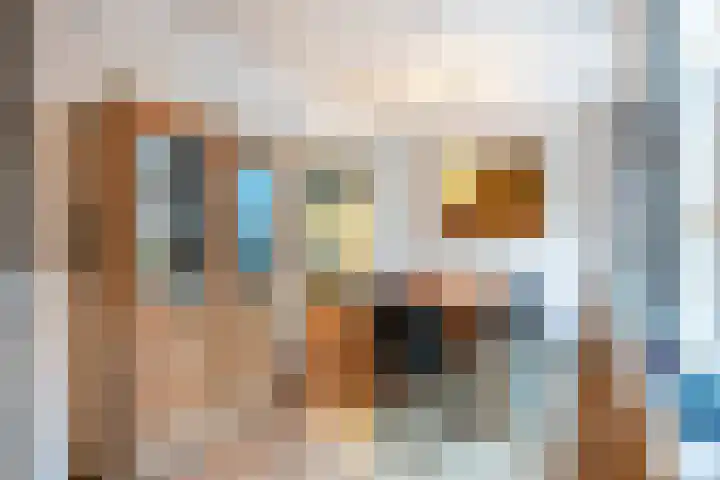 Grote Reed 6 Kimswerd thumbnail 20