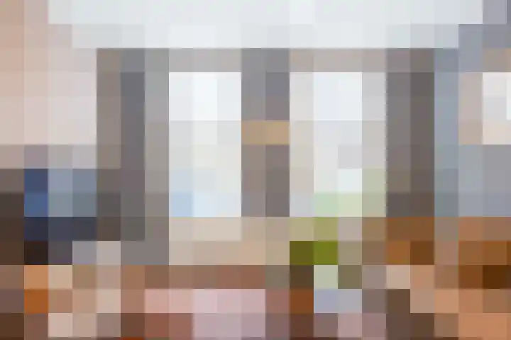 Grote Reed 6 Kimswerd thumbnail 26