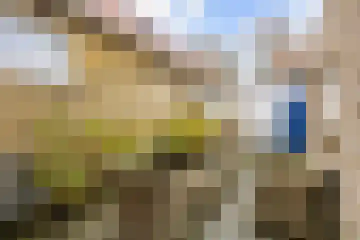 Grote Reed 6 Kimswerd thumbnail 34