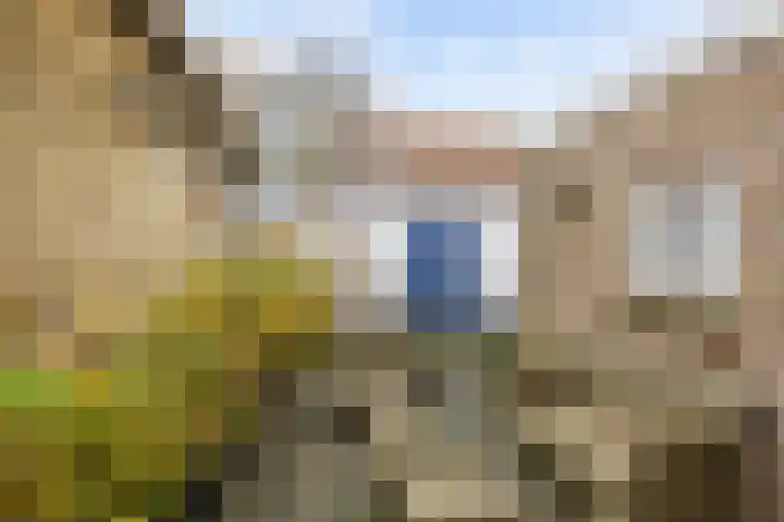Grote Reed 6 Kimswerd thumbnail 35