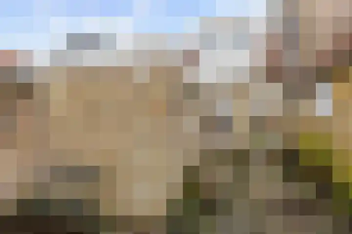 Grote Reed 6 Kimswerd thumbnail 37