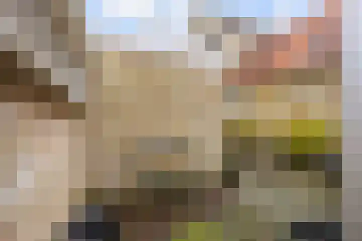 Grote Reed 6 Kimswerd thumbnail 40