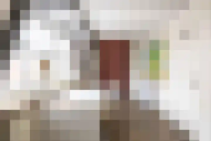Grote Reed 6 Kimswerd thumbnail 48