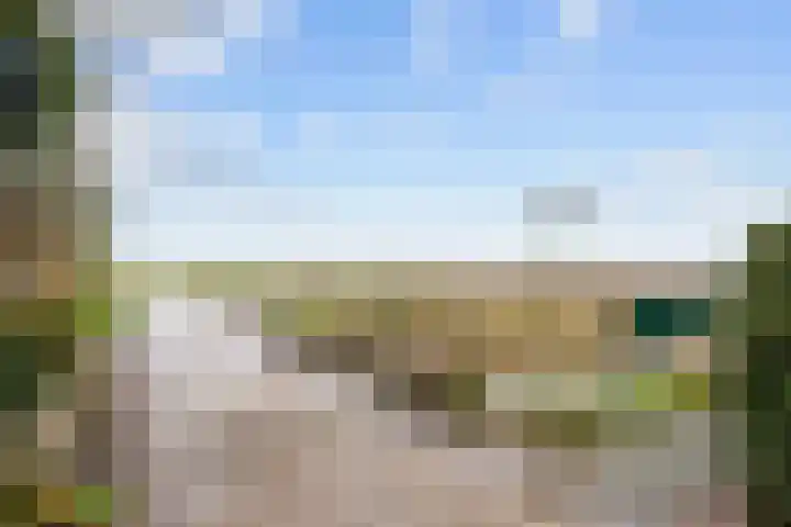 Grote Reed 6 Kimswerd thumbnail 50
