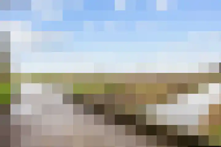 Grote Reed 6 Kimswerd thumbnail 51