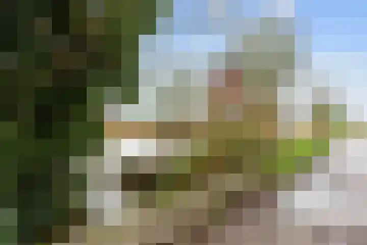 Grote Reed 6 Kimswerd thumbnail 52