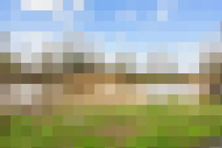 Grote Reed 6 Kimswerd thumbnail 53