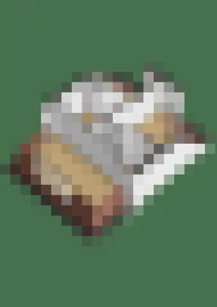Grote Reed 6 Kimswerd thumbnail 58