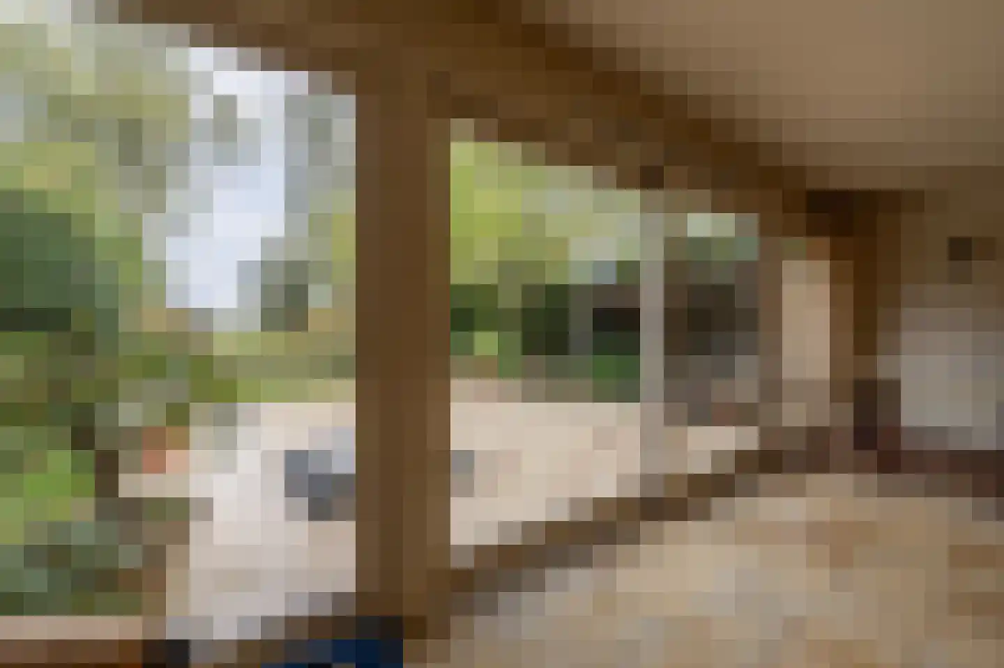 Grote Riethure 2 Westmaas thumbnail 13
