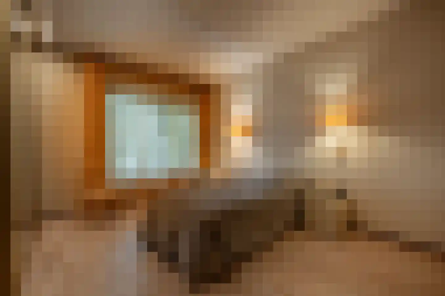 Grote Riethure 2 Westmaas thumbnail 14