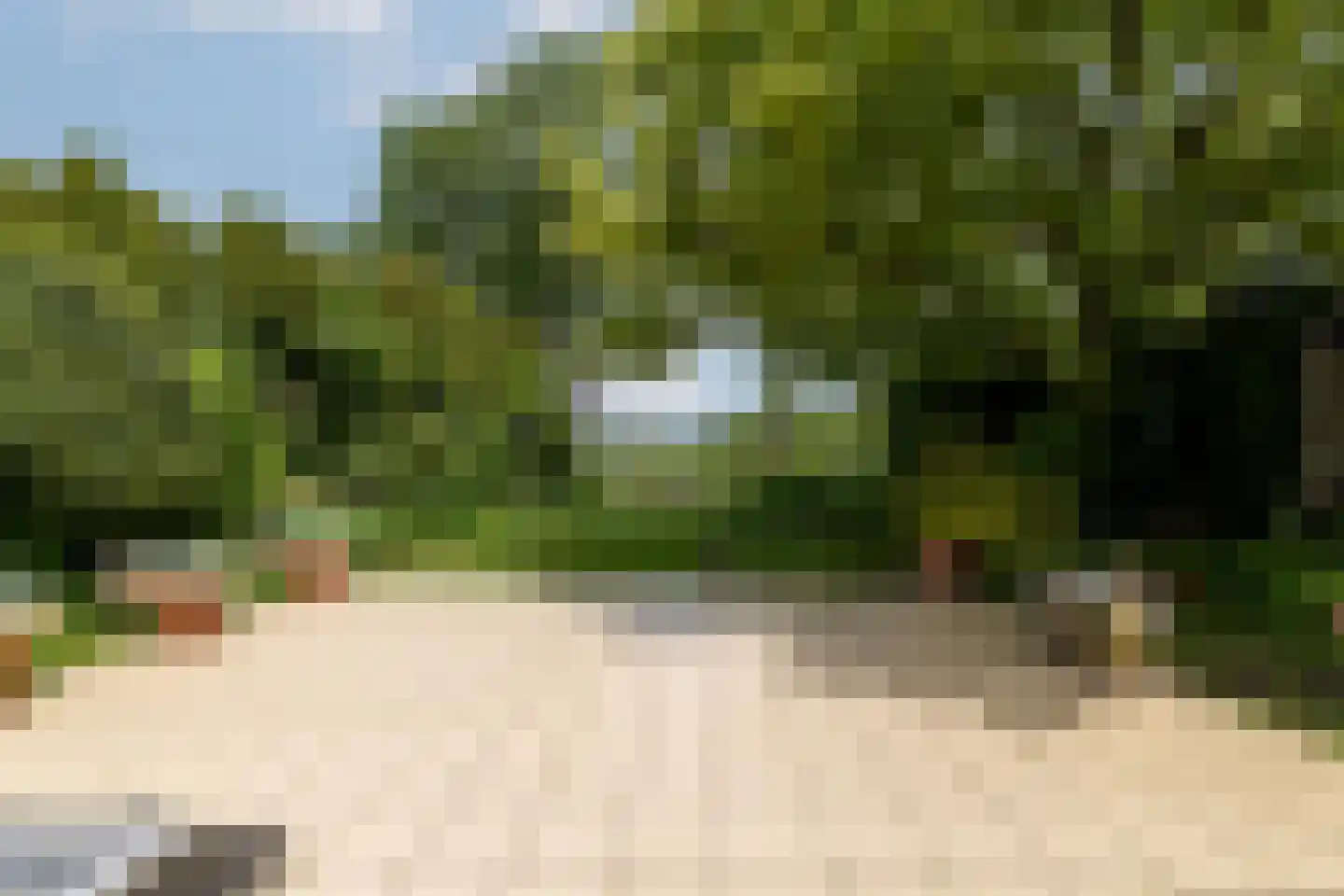 Grote Riethure 2 Westmaas thumbnail 34