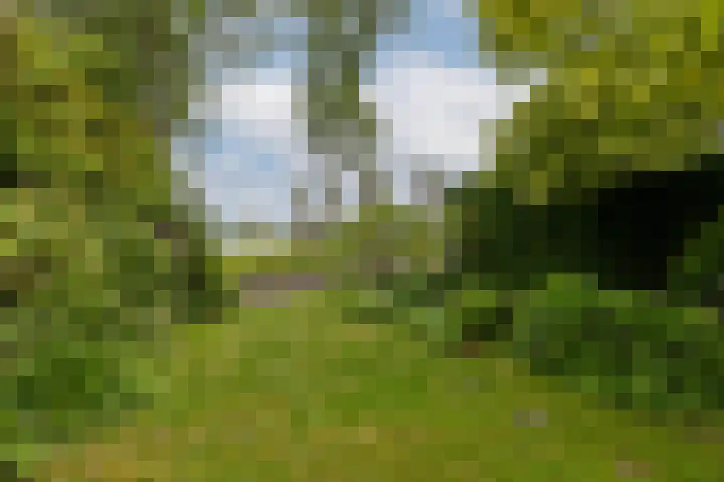 Grote Riethure 2 Westmaas thumbnail 35