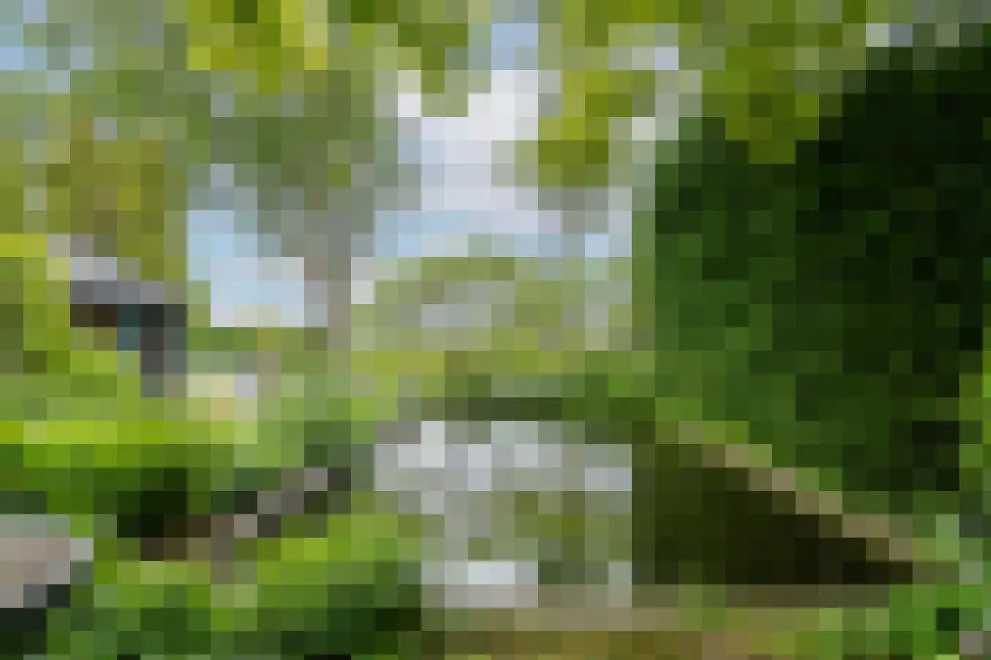 Grote Riethure 2 Westmaas thumbnail 36