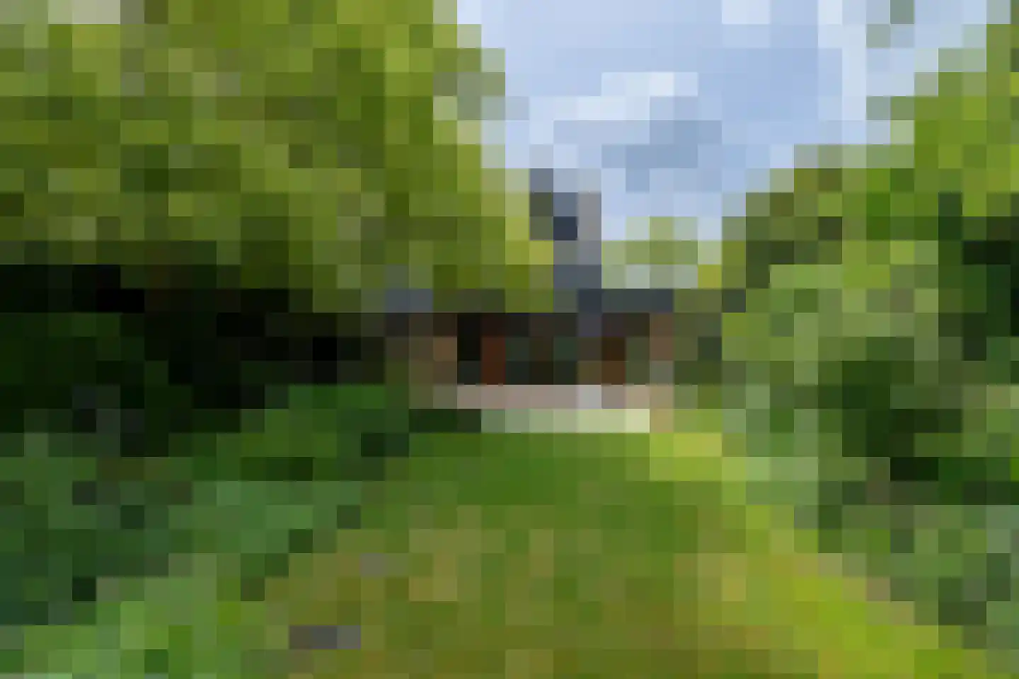 Grote Riethure 2 Westmaas thumbnail 37