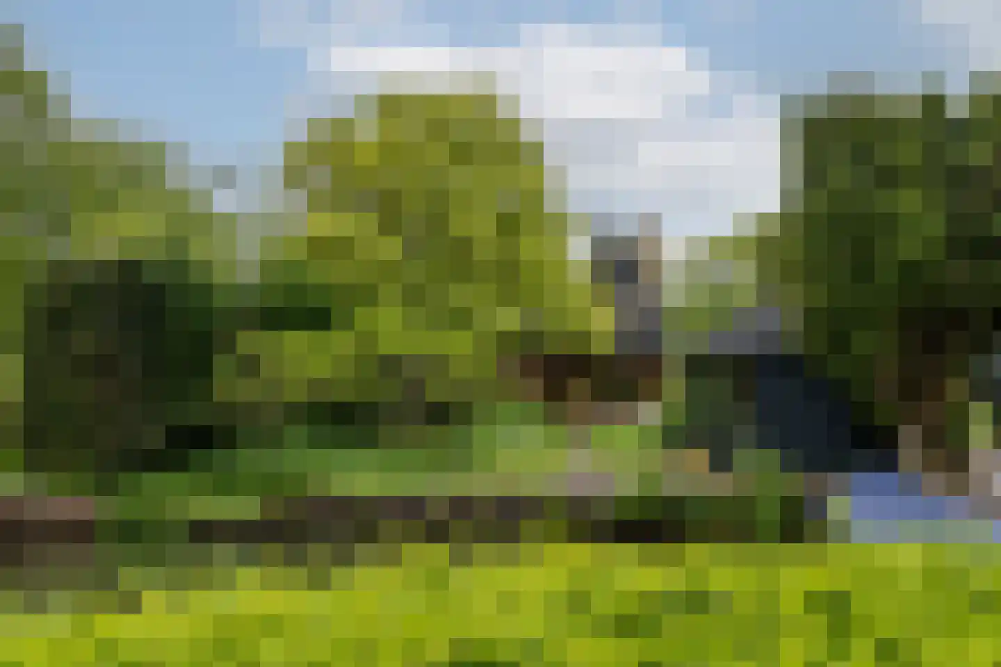 Grote Riethure 2 Westmaas thumbnail 38