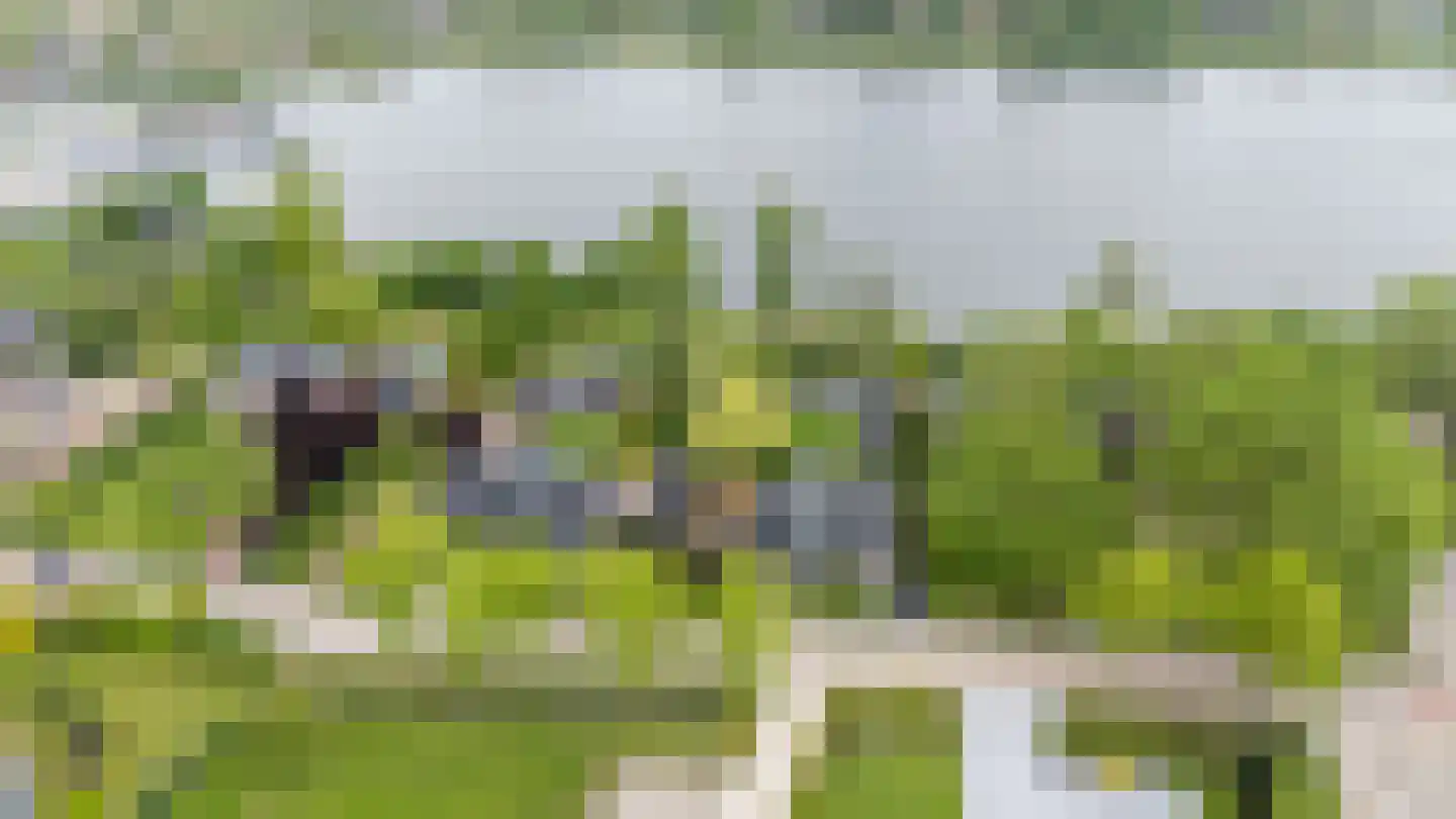 Grote Riethure 2 Westmaas thumbnail 39