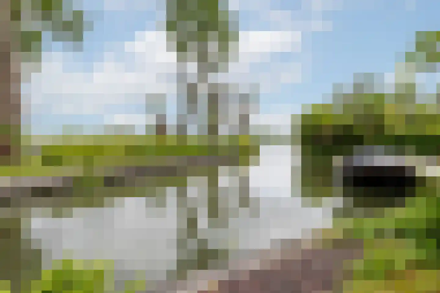 Grote Riethure 2 Westmaas thumbnail 4