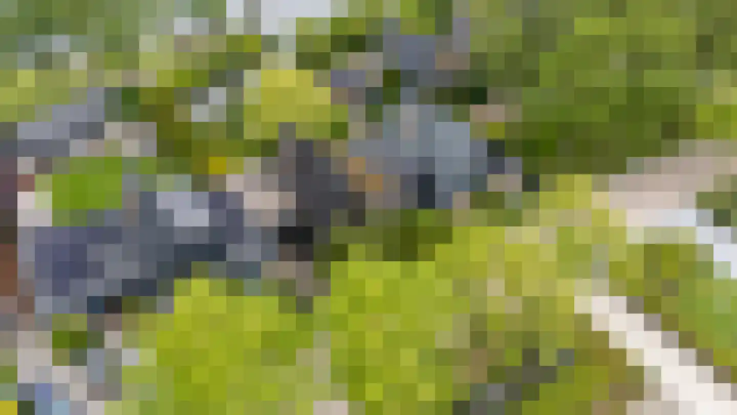 Grote Riethure 2 Westmaas thumbnail 40