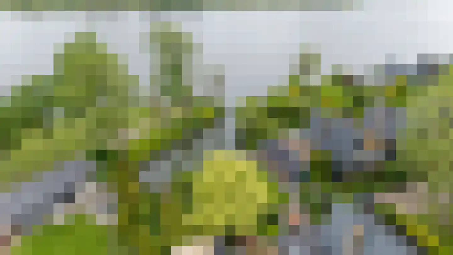 Grote Riethure 2 Westmaas thumbnail 41
