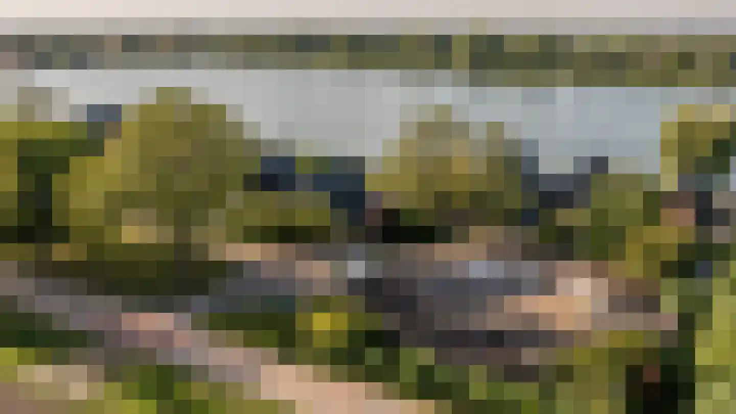 Grote Riethure 2 Westmaas thumbnail 42