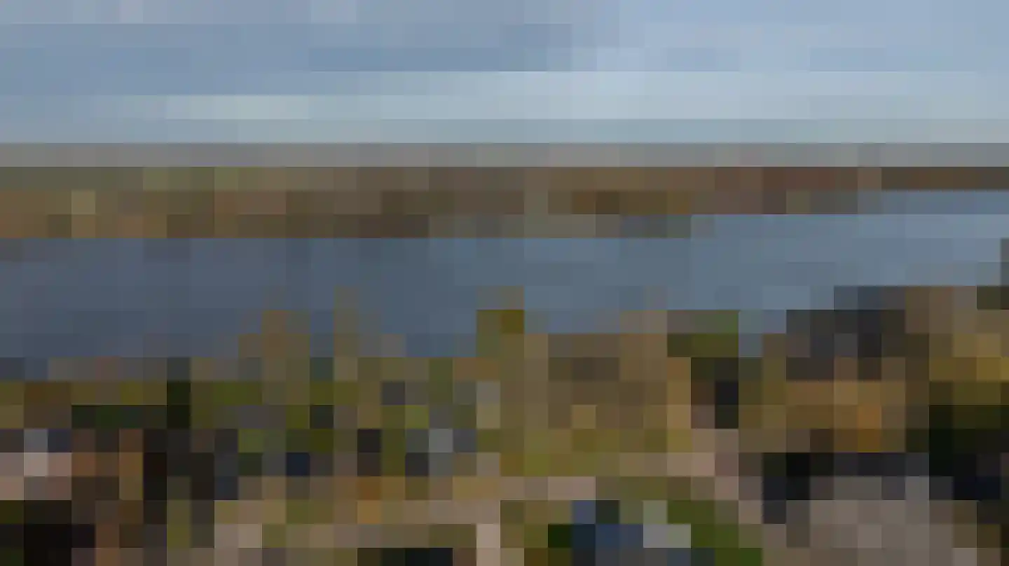 Grote Riethure 2 Westmaas thumbnail 46