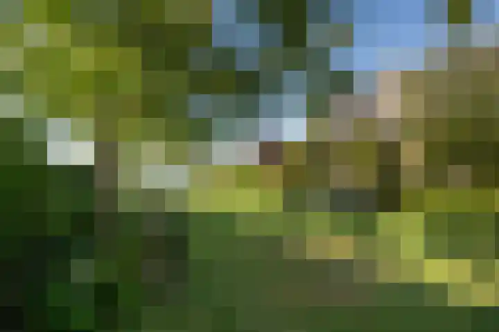Grote Riethure 24 Westmaas thumbnail 39
