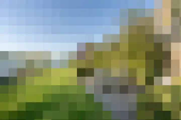 Grote Riethure 24 Westmaas thumbnail 40