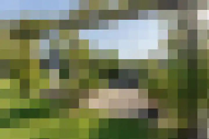 Grote Riethure 24 Westmaas thumbnail 42
