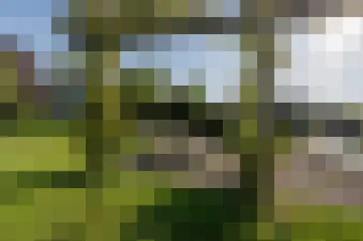 Grote Riethure 24 Westmaas thumbnail 43