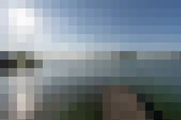 Grote Riethure 24 Westmaas thumbnail 44