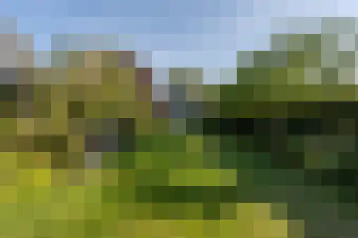 Grote Riethure 24 Westmaas thumbnail 45