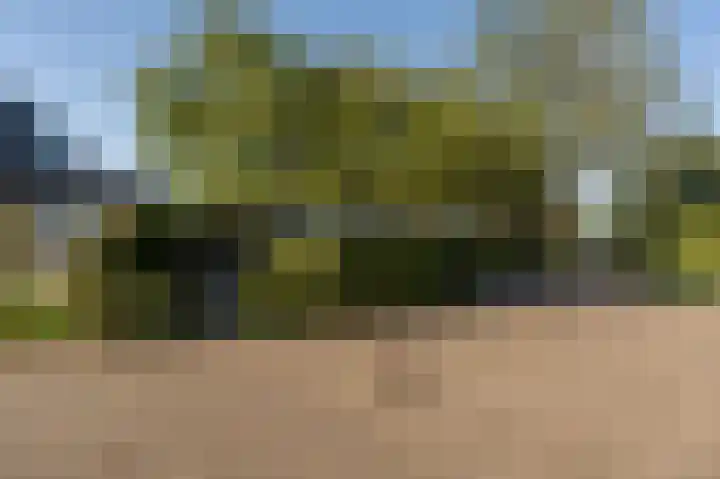 Grote Riethure 24 Westmaas thumbnail 47