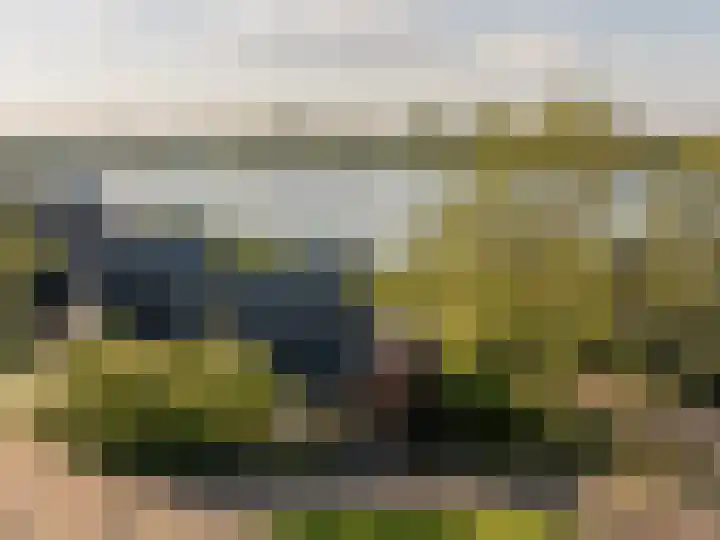 Grote Riethure 24 Westmaas thumbnail 54
