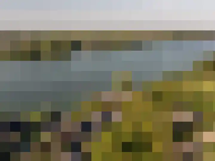 Grote Riethure 24 Westmaas thumbnail 55