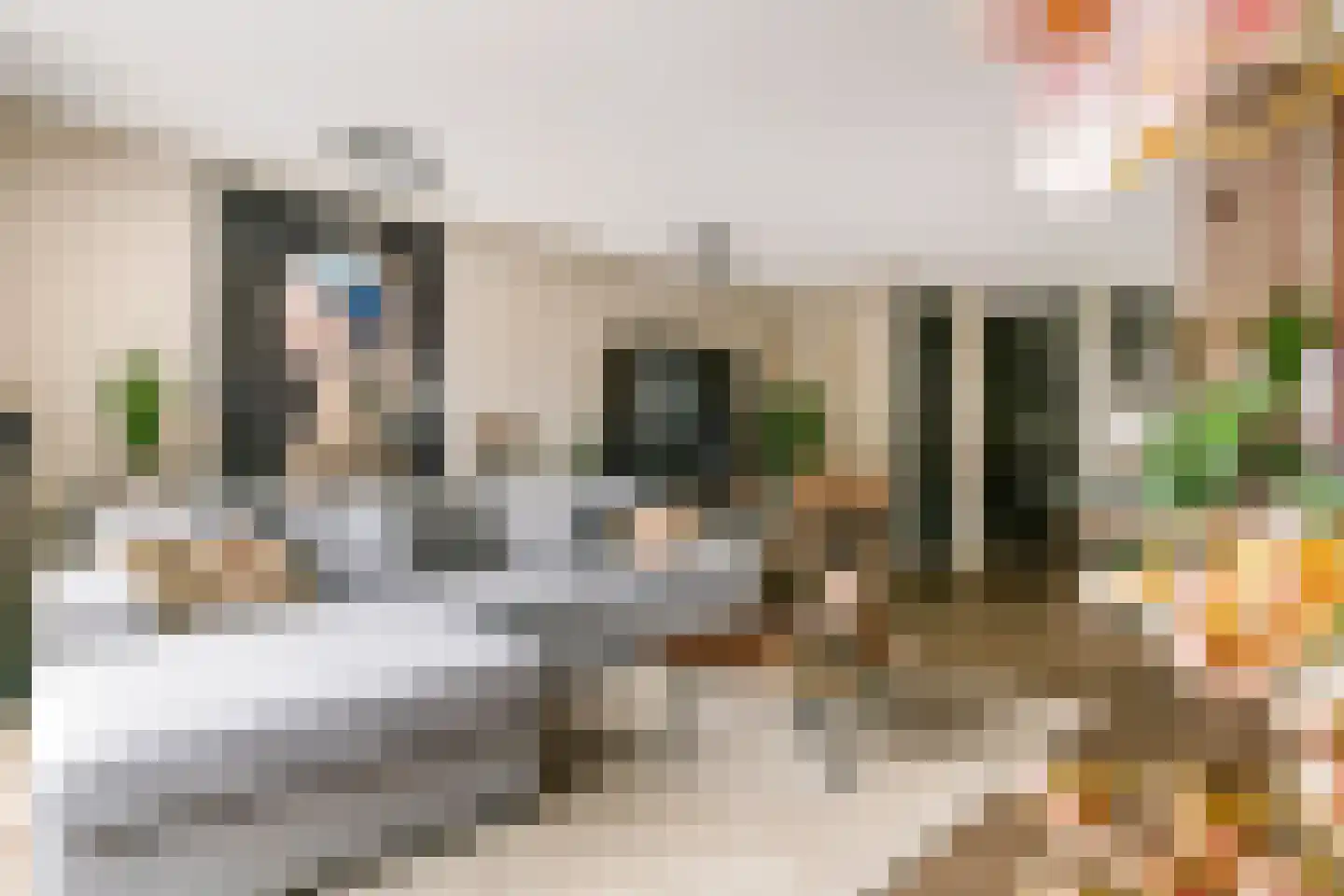 Grote Ronduit 22 Tiel thumbnail 10