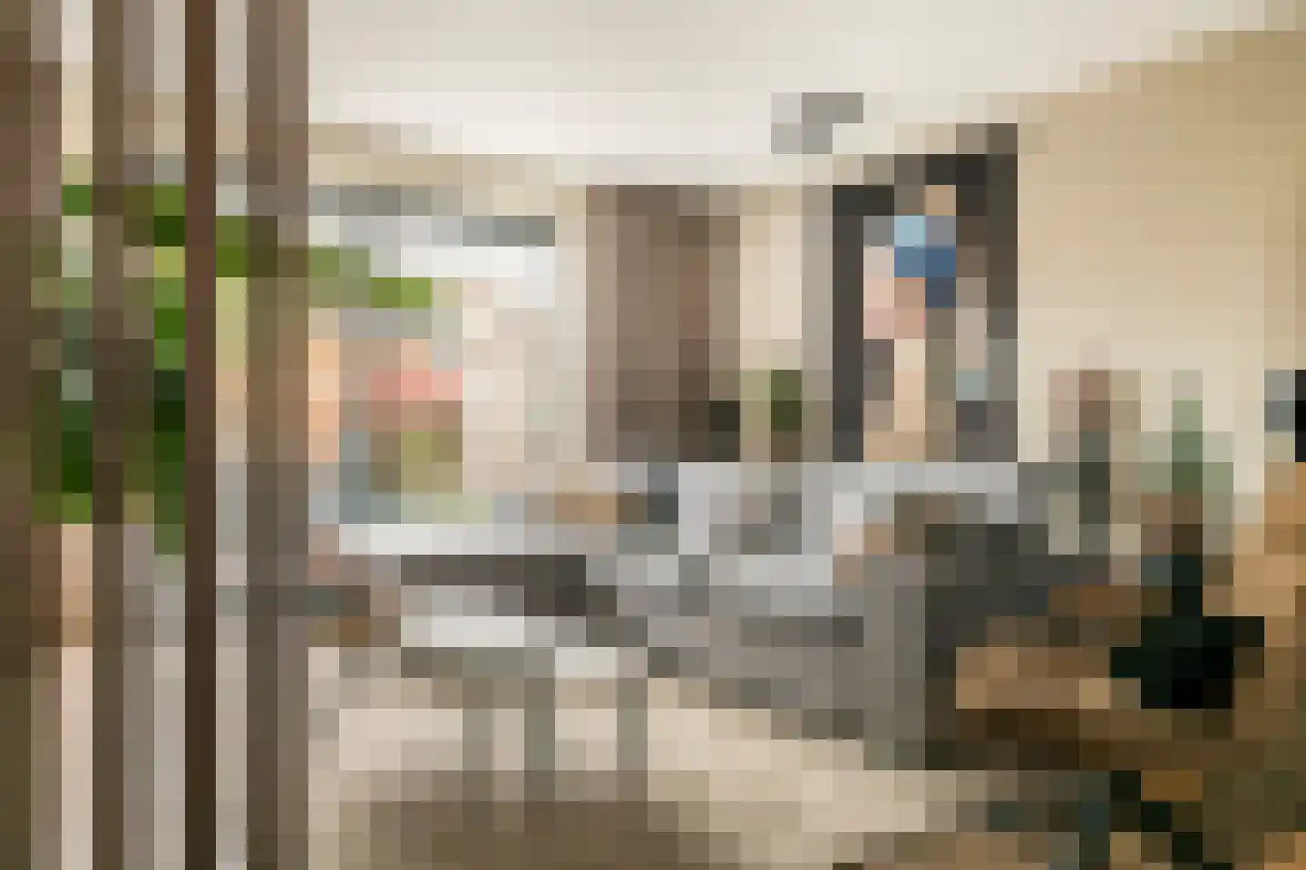 Grote Ronduit 22 Tiel thumbnail 14