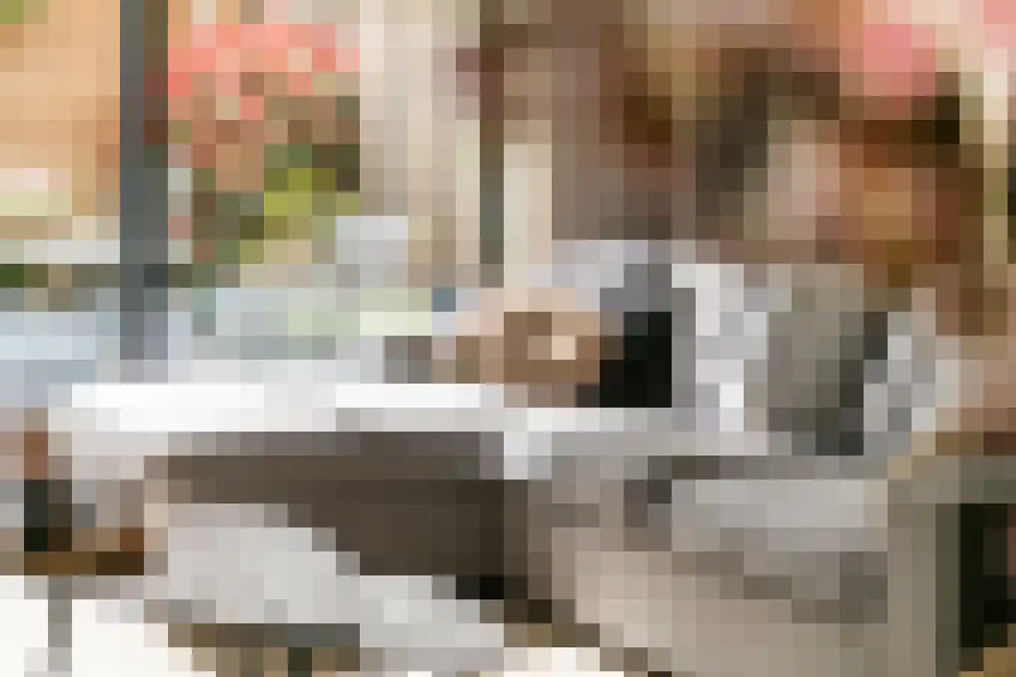 Grote Ronduit 22 Tiel thumbnail 15