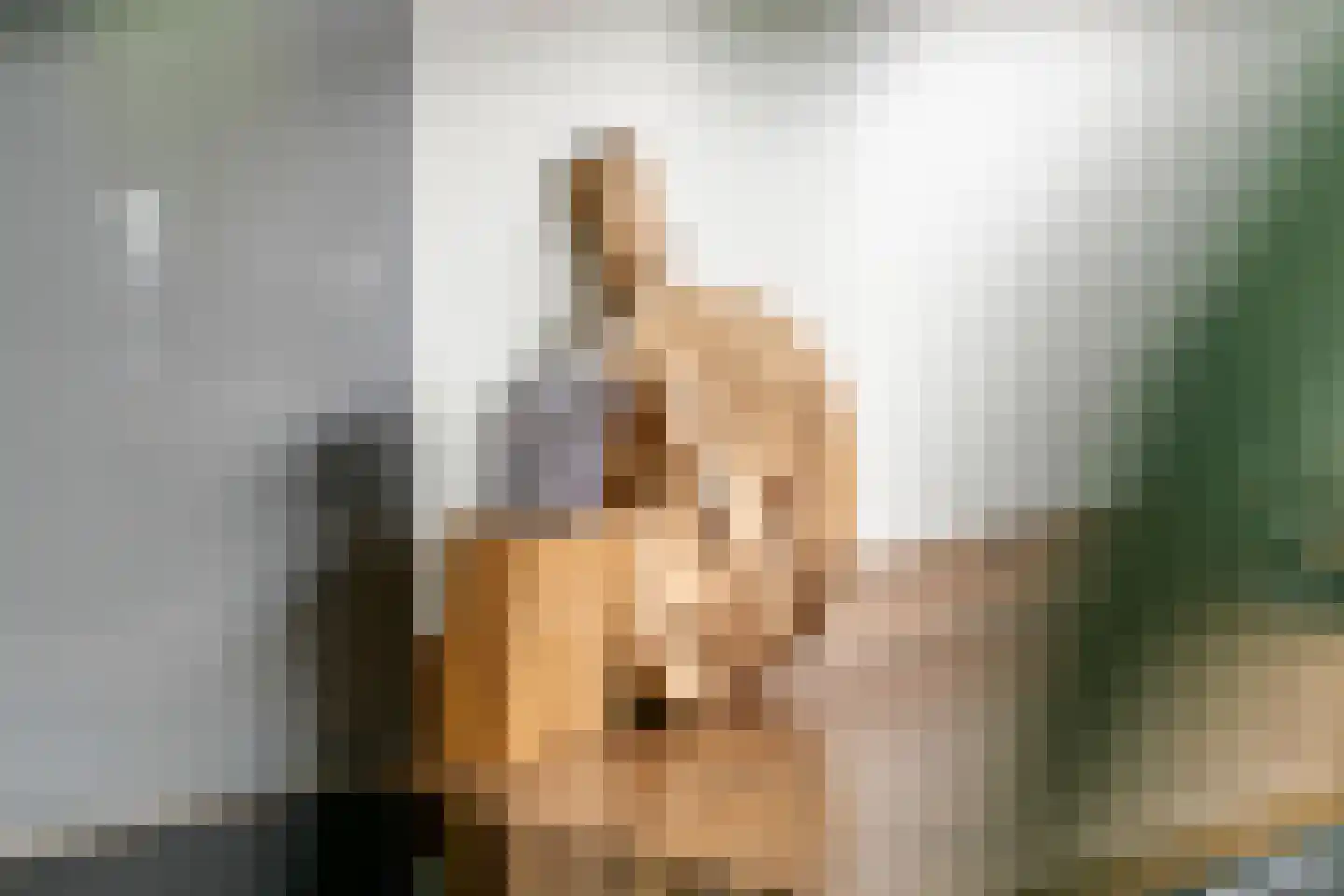 Grote Ronduit 22 Tiel thumbnail 18