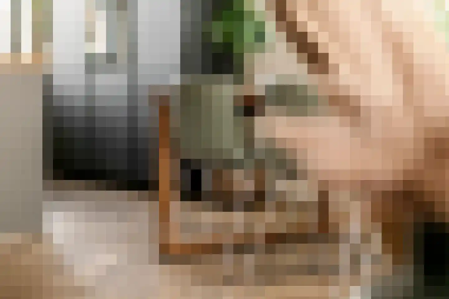 Grote Ronduit 22 Tiel thumbnail 20