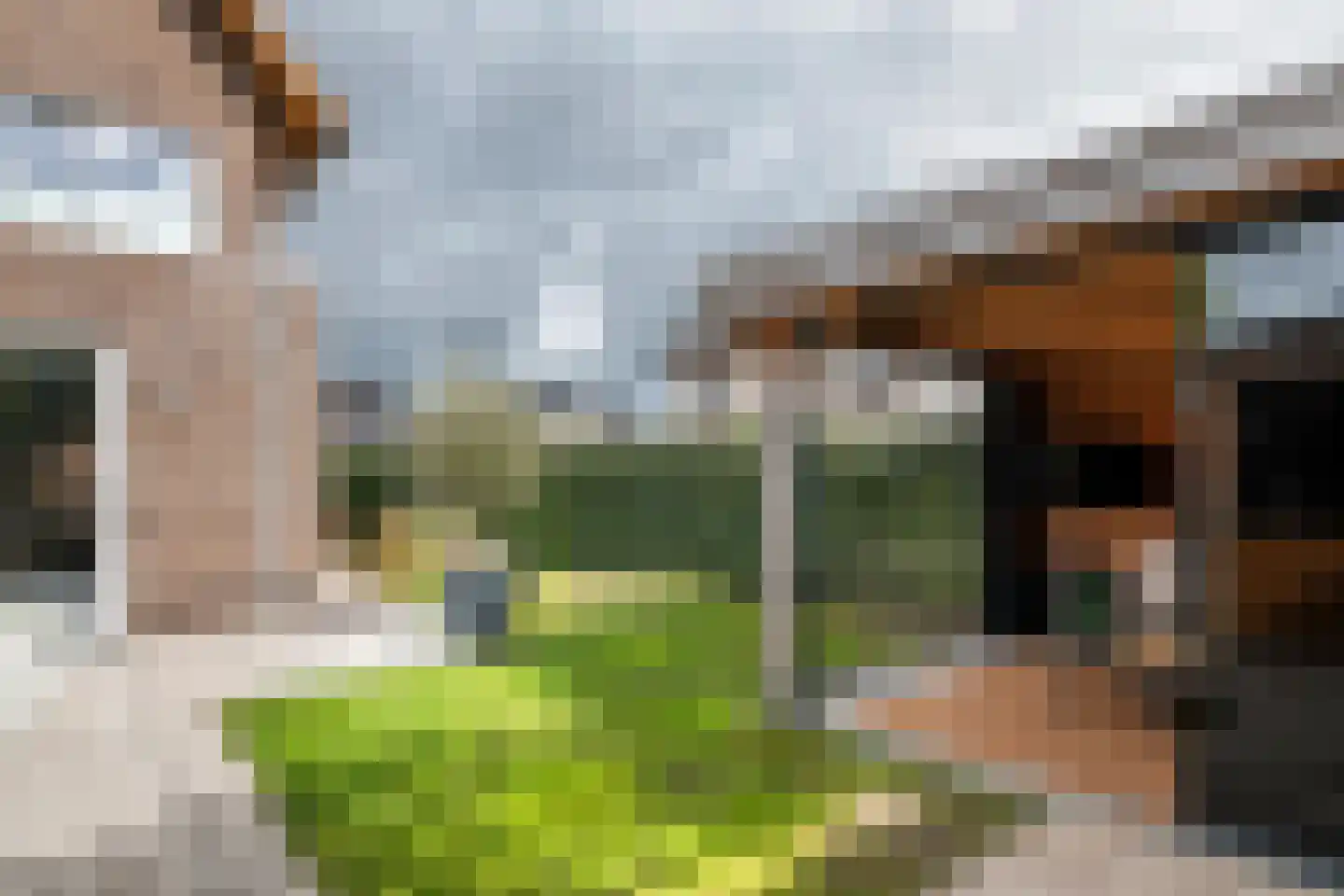 Grote Ronduit 22 Tiel thumbnail 24