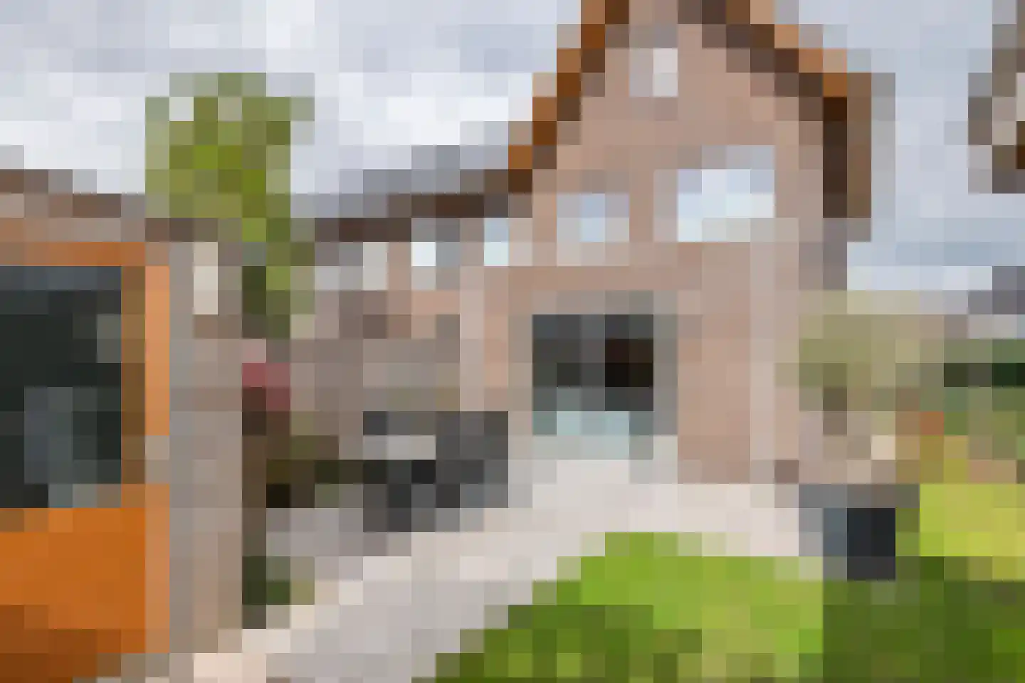Grote Ronduit 22 Tiel thumbnail 26